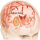     The signs and symptoms of a brain tumor vary g…